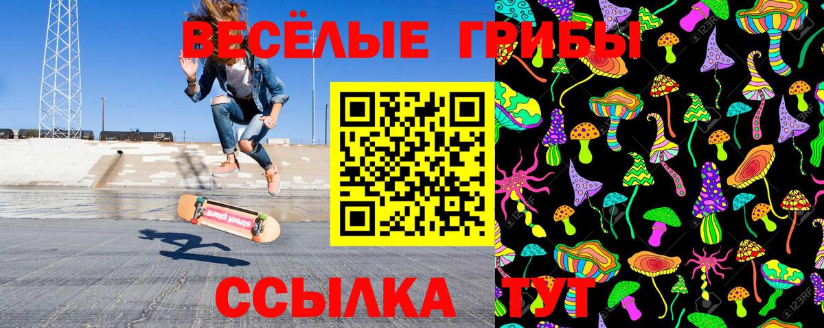 Нижнекамск  цены наркотик  Вход с VPN  Псилоцибиновые грибы Magic Shrooms 