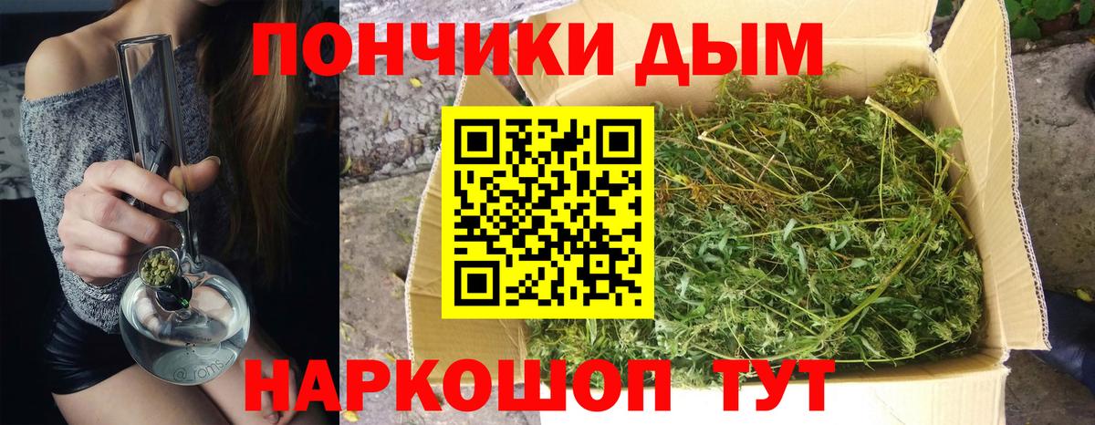 Конопля план  Бошки Шишки сатива  Бошки марихуана Ganja  Вход с VPN  Бошки марихуана тримм  Нижнекамск 